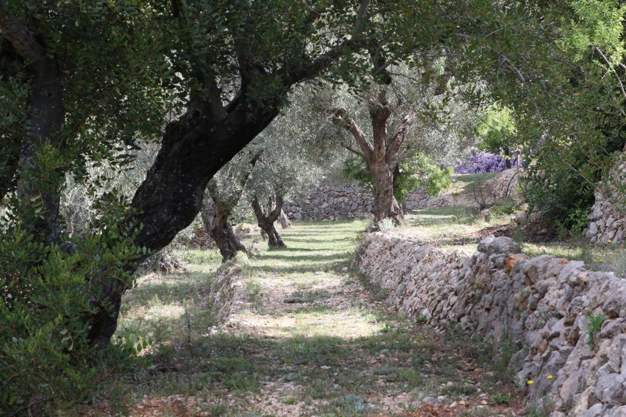 Villa Foia Vella - Adults Only Benigembla Exterior photo